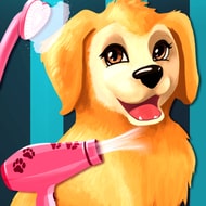 Become A Puppy Groomer